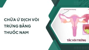 gp 33 chua u dich voi trung bang thuoc nam thum 1