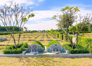 So Sánh Ưu Nhược Điểm Giữa Mai Táng Xanh Và Hỏa Táng 4 4 3